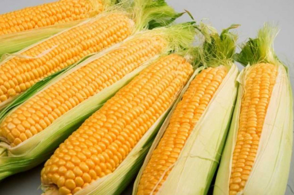 Jagung Manis 250 gram