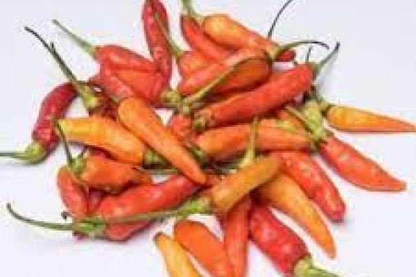 cabe Rawit merah 250 gr