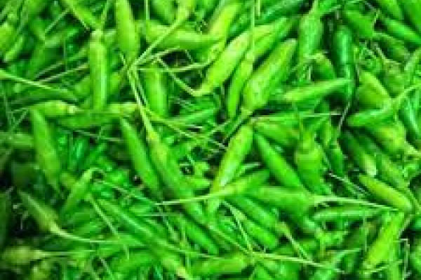 cabe rawit hijau 100 gr