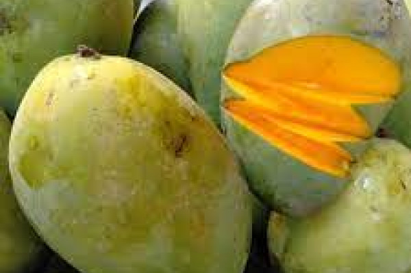 mangga Arumanis 1 kg