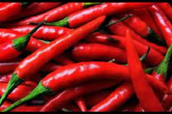 cabe merah besar 1 kg