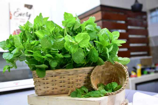 Daun Mint (100 Gram)