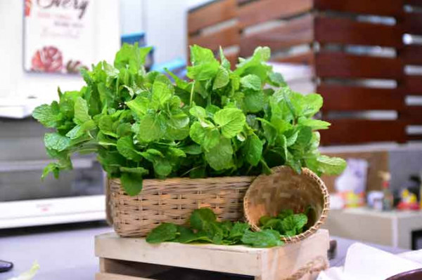 Daun Mint (100 Gram)