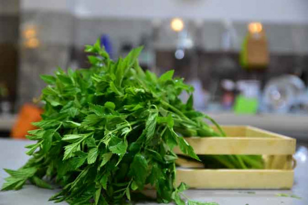 Daun Tespong (250 Gram)