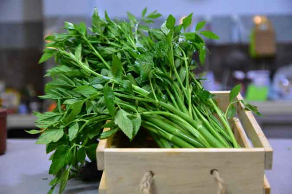 Daun Tespong (250 Gram)