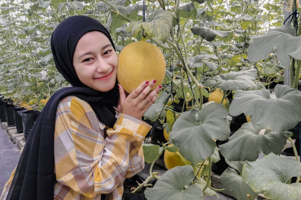 MELON INTHANON 1,5 KG