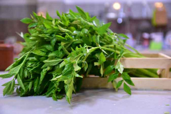 Daun Tespong (250 Gram)