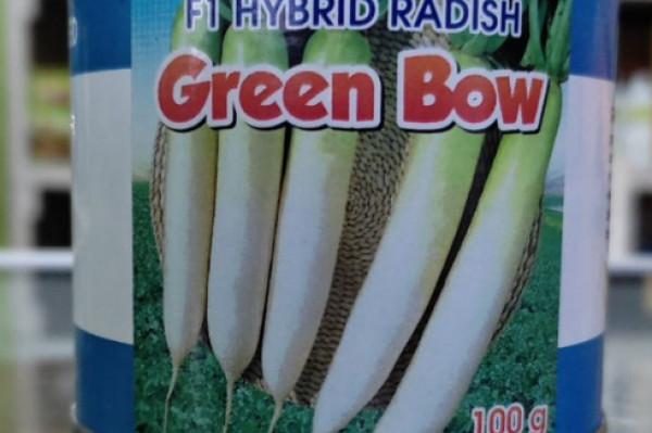 F1 HYBRID RADISH (100 gr) LOBAK Green Bow