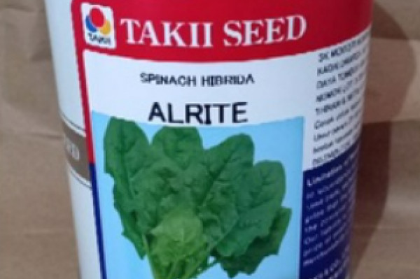 SPINACH HIBRIDA ALRITE (HORENZO) 250gr