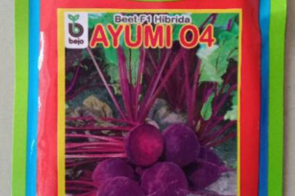 BEET F1 HIBRIDA AYUMI 04 (1500 biji)