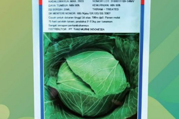 KUBIS HIBRIDA GREEN NOVA TAKII SEED