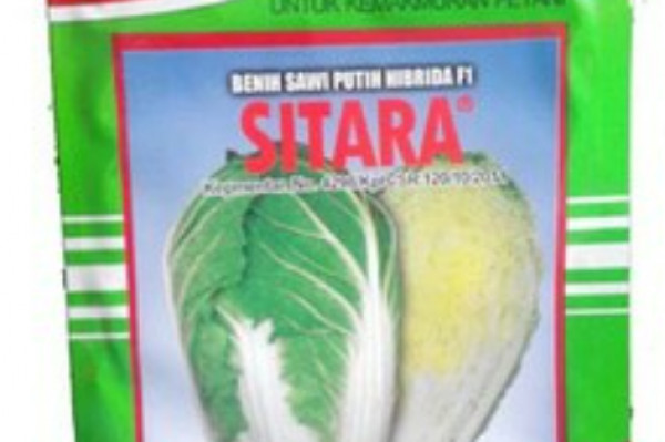 Benih SAWI PUTIH (PERTIWI) 10 gr