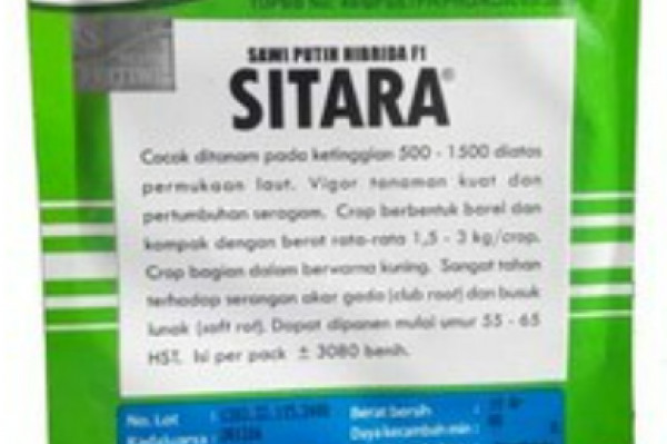 Benih SAWI PUTIH (PERTIWI) 10 gr