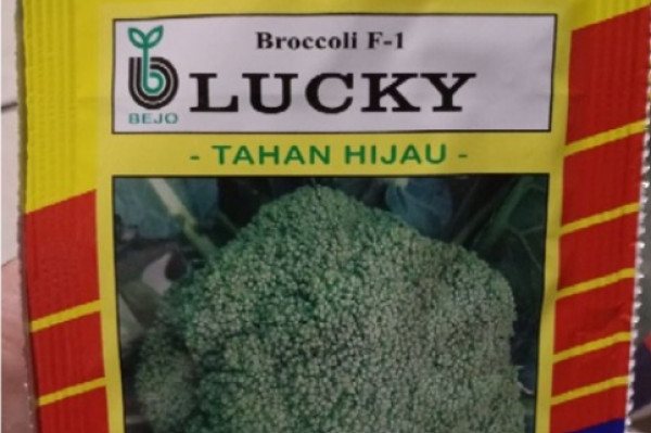BROCCOLI F1 (PRIMASID) 1250 SEED