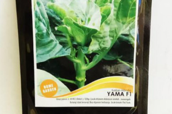 KAILAN HIBRIDA YAMA F1 2 gr