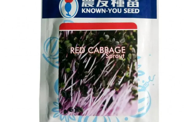 BENIH RED CABBAGE SPROUT (KWON YOU SEED)