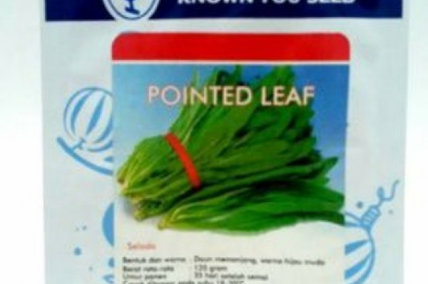 BENIH POINTED LEAF (SIOMAK) KWON YOU SEED