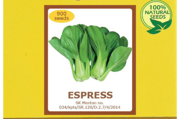 BENIH PAKCOY ESPRESS 900 SEED (AGROPHORIA)