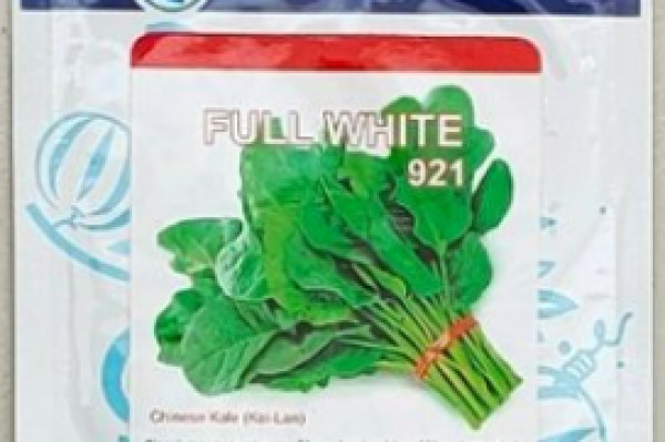 Benih Kailan Full White 5gr Original Known You Seed