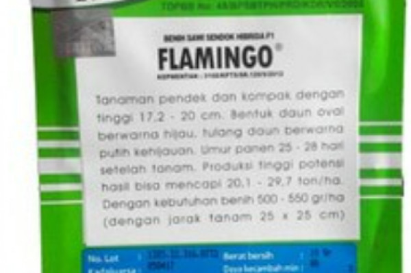 Benih Pertiwi Flamingo Sawi Sendok Hybrida F1-Benih Sawi Sendok-10gram