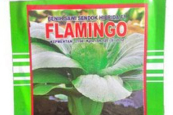 Benih Pertiwi Flamingo Sawi Sendok Hybrida F1-Benih Sawi Sendok-10gram
