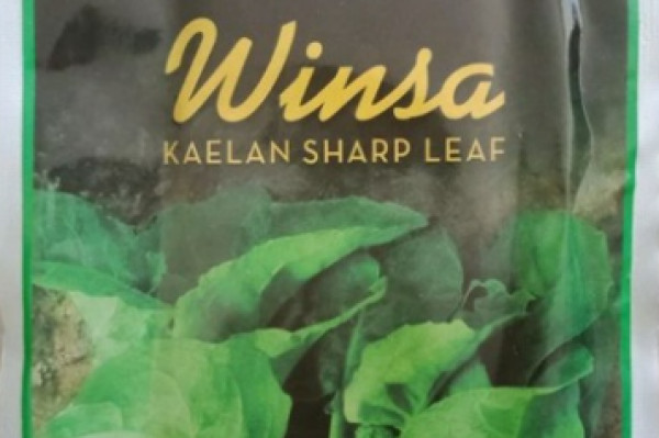 Benih Kailan merk Winsa