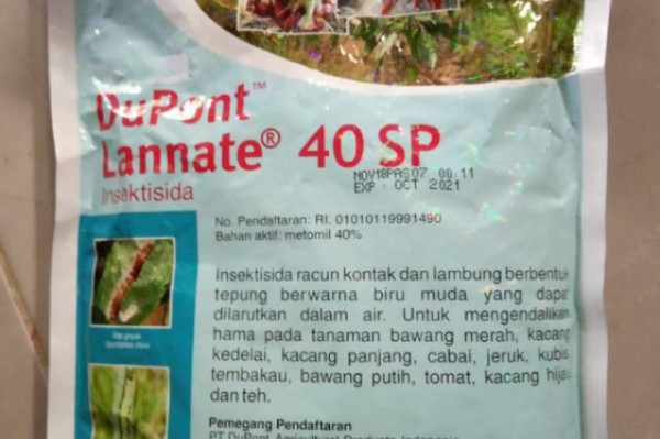 Share: Favorit (2) Insektisida DuPont Lannate 40 SP 250 gr