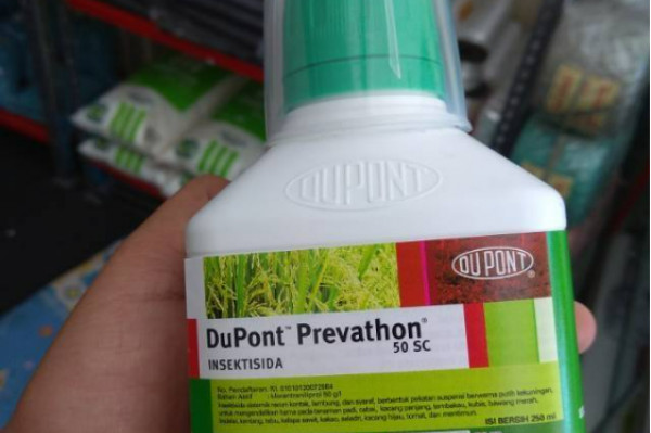Insektisida DuPont Prevathon 50 SC 250 ml