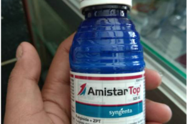 Fungisida AmistarTop 325 SC 100 ml syngenta
