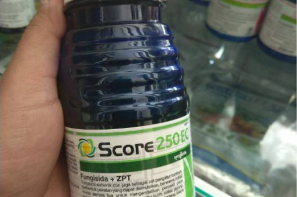 Fungisida Score 250 EC 250 ml Syngenta