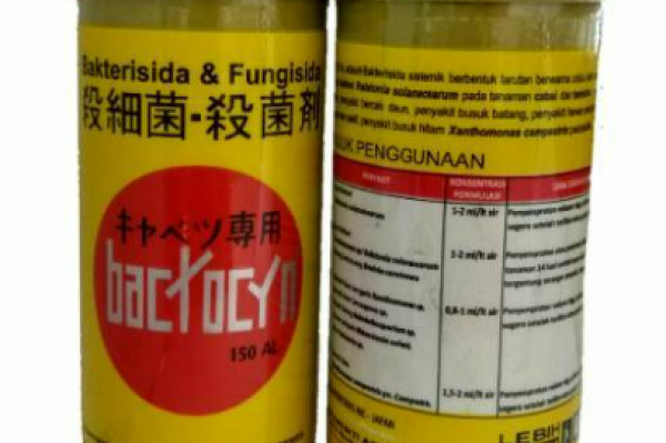 BAKTERISIDA + FUNGISIDA Bactocyn 200ml - anti layu patek antraknosa busuk buah busuk daun bercak
