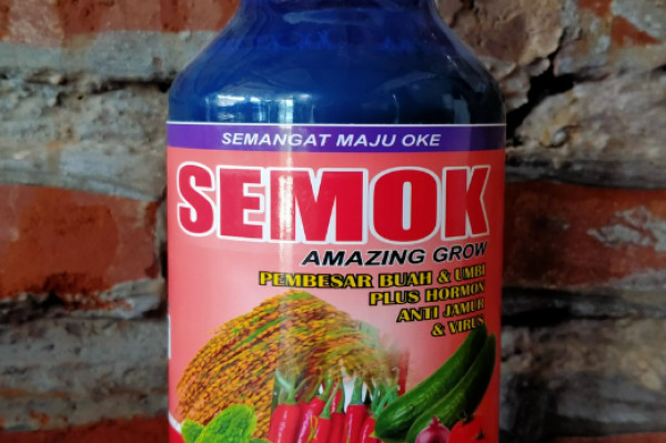 Pupuk SEMOK AMAZING GROW pembesar buah & umbi plus hormon anti jamur & virus kemasan 500 ml