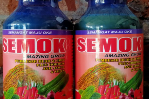 Pupuk SEMOK AMAZING GROW pembesar buah & umbi plus hormon anti jamur & virus kemasan 500 ml
