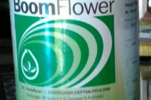 Boom Flower 500ml