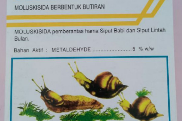 Toxiput 5GR 250 gr racun siput keong