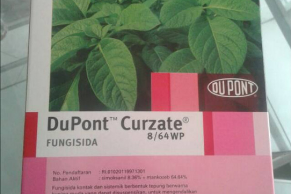DuPont Curzate 8/64 WP Fungisida isi 400 gram