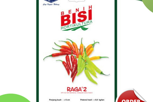 Benih Murah Cabe Rawit Raga
