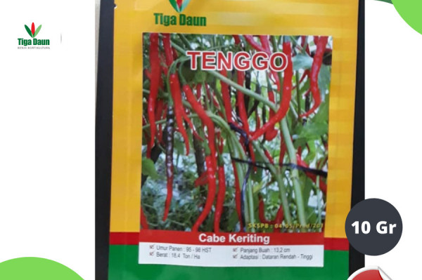 Cabe Tenggo Tiga Daun