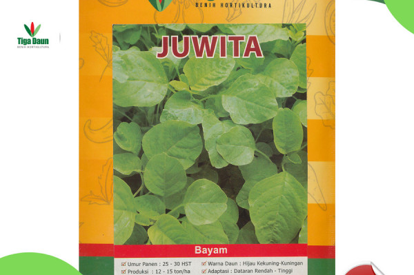 Bayam Juwita