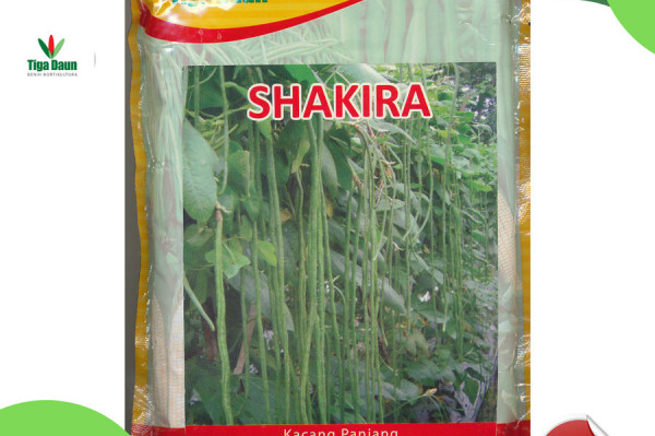 Kacang Panjang Shakira 100 gram