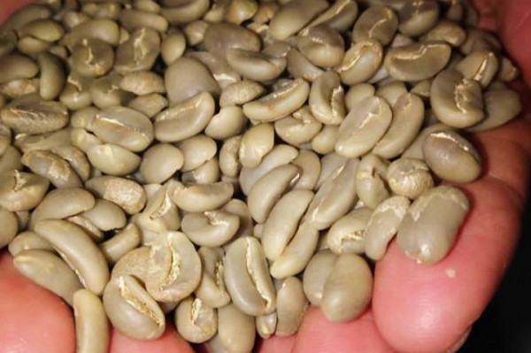 Kopi Arabika Gn. Menyan Natural - Green Bean (1000gr)