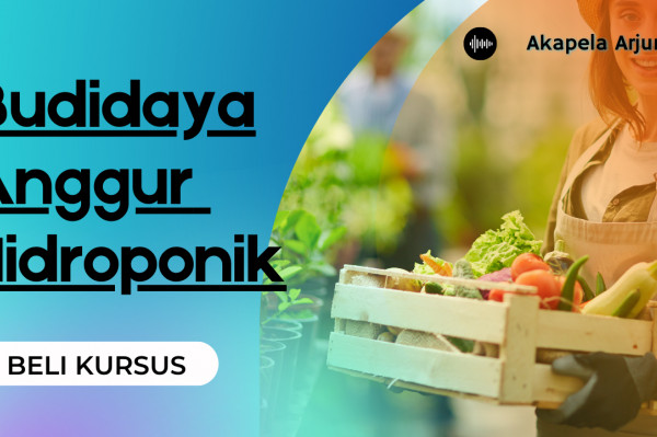 Kelas Bonsai Anggur Hidroponik