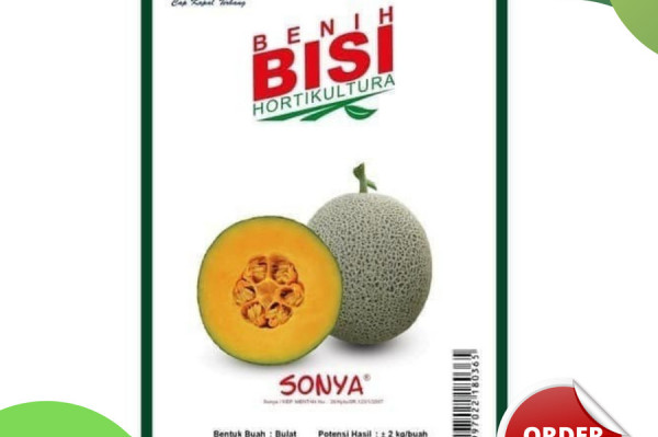 Melon BISI SOnya