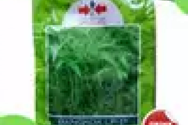 Kangkung bangkok lp1 panah merah