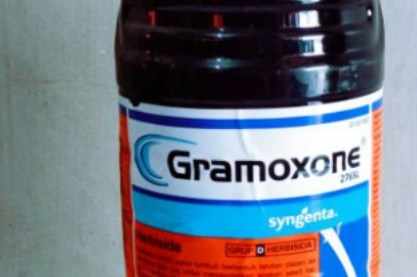 Gromoxone (Herbisida)