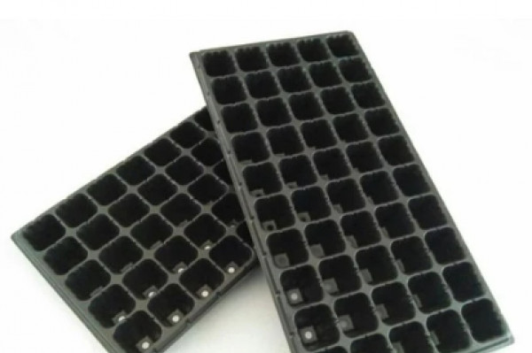 Tray Semai 50 Lubang