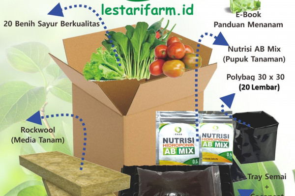 PAKET BERKEBUN RUMAH TERLENGKAP DAN TERBAIK