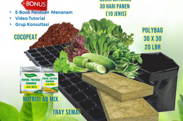 PAKET BERKEBUN 30 HARI