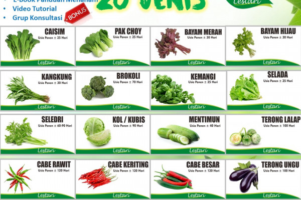 PAKET BENIH 20 JENIS