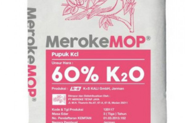 KCL Meroke 1 Kg
